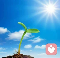 愿你在纷扰中守住内心的宁静，在不确定中拥抱可能，在焦虑的迷雾里，始终相信：光在，你在，希望永在。配图