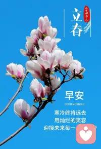 立春，是一个充满希望与新生的节气。它象征着一切的重新开始，让我们在这个美好的季节里，怀揣着梦想与希望，迎接新的挑战，创造属于自己的精彩。愿每一个人都能在这个春天里，收获满满的幸福与成功。早安✨✨✨🌱配图