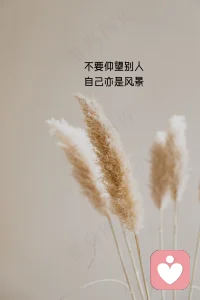 学会放松和疏解压力，找到适合自己的方式。配图