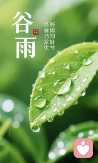 谷雨时节，种下希望，收获成长。愿你今天的工作如雨后春笋，节节高升；愿你的生活如绵绵细雨，滋润顺遂。加油💪💕配图
