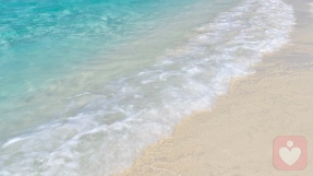 回避型人格七大特征。