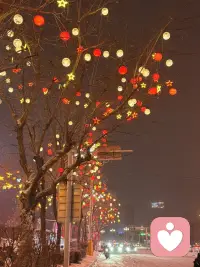 “努力”这个词看着就累
一个“奴”出两份“力”
今日一问： 你今天的努力值打几分？（1-10分）