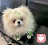 正面情绪价值：

尊重、肯定、欣赏、赞美、鼓舞、陪伴、珍惜，理解、安抚、包容、守护、扶持、提携、成就，给你美好感受。


负面情绪价值：

怀疑、否定、评判、嫉妒、攻击、诋毁、讽刺辱骂、谣言、背叛、贴标签、都会带来负面情绪价值让你心情糟糕。


能量比你低的人：

怀疑你、否定你、评判你、嫉妒你、攻击你、诋毁你、辱骂你。


能量比你高的人：

理解你、安抚你、包容你、守护你、扶持你、提携你、成就你。


能量同频的人：

尊重你、肯定你、欣赏你、赞美你、鼓舞你、陪伴你、珍惜你。配图