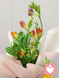 走的路越远，心就会越宽；遇见的人越多，就会发现世界就越大；书读的越多，越懂得包容。人要学会谦逊和奋斗，才能在旅途中看见更美的风景。配图