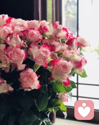 中年少女每个年龄段的我们，
都是恰到好处的我们，
做自己，无偏爱，无例外！
鲜花赠自己💐，不止今天才闪耀✨，
愿我们一路乘风破浪，光芒万丈🌟！