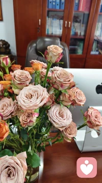 越是深沉的痛苦，越难以言说。即使有人问起，也不知从何开口。成年人的世界，到了一定年龄之后，都得带着点难言的心事活下去。
如果你正处于这种状态，​你可以找我来疏导情绪缓解压力！