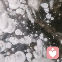 情绪不是敌人：学会与情绪共处的实用指南
 
很多人习惯把情绪当成洪水猛兽，焦虑时强迫自己“别多想”，愤怒时硬压着“要冷静”，可越是对抗，情绪反而越汹涌。其实，情绪从不是需要消灭的敌人，而是传递内心需求的信使。学会与情绪共处，才是自我关怀的核心。
 
与情绪共处的第一步，是看见它。当烦躁、低落等感受涌来时，别急着评判，试着在心里给情绪命名：“我现在感到很委屈”“我有点焦虑了”。简单的命名动作，能让你从情绪的漩涡中抽离，从“被情绪控制”变成“观察情绪”。
 
第二步是接纳它。情绪没有好坏之分，愤怒不是“糟糕”，悲伤也不是“软弱”。就像天空会下雨也会放晴，情绪的起伏是人的本能。允许自己有情绪，哪怕是负面情绪，不压抑、不逃避，给情绪一个自然流淌的空间。你可以找个安静的角落坐一会儿，或者写几句心里话，让情绪有处安放。
 
第三步是倾听它。每一种情绪背后都藏着未被满足的需求：焦虑可能源于对未来的不确定，委屈可能是因为付出没被看见。试着问自己：“我现在需要什么？”是需要被倾听，需要休息，还是需要一个明确的答案？找到需求，就找到了疏导情绪的钥匙。
 
最后别忘了放过它。情绪是流动的能量，不会一直停留在原地。当你完成了看见、接纳、倾听的过程，就不必再紧抓着情绪不放。告诉自己：“我已经关照过这份感受了，现在可以让它慢慢消散。”
 
与情绪共处，不是要变得“没有情绪”，而是学会做情绪的朋友。当你不再对抗情绪，内心的平静便会不请自来。