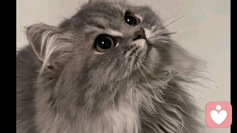 疗愈不是移走你的伤痛，而是教你与它并肩行走