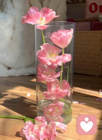 人到中年，内心藏着四组真实矛盾：
 
1. 理想与现实的落差
年轻时以为自己会闪闪发光，走着走着才发现，不过是在平凡日子里撑着生活。
2. 付出与回报的失衡
为家庭、为孩子、为责任拼了大半辈子，可回头一看，没人真正懂自己，连委屈都不敢说。
3. 想改变又不敢，想停下又愧疚
想重新为自己活一次，却怕风险、怕失败、怕别人眼光；
想歇一歇，又觉得自己不够努力，对不起身边的人。
4. 自我否定与渴望价值
一边怀疑自己是不是就这样了，一边又不甘心，不想这辈子白活一场。
 
成年人最大的修行，不是变得多强大，
而是看懂这些矛盾，然后慢慢和自己和解。
接纳遗憾，接纳平凡，接纳不完美，
也终于懂得：好好爱自己，才是一生的答案。配图