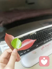 不追赶时间，只追赶风与叶。
余生很长，要先学会拥抱那个真实的自己配图