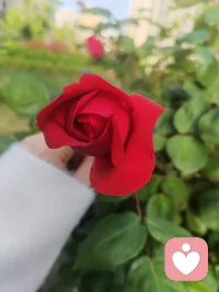 心里总是内耗，纠结，难受，不是你矫情
如果你常常莫名心累压抑，没人理解，
其实不是你不够好，
是你内心的情绪在提醒你：
该好好看见自己了配图