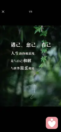与自己和解
和世界温柔相处配图