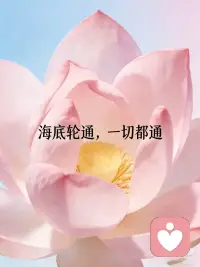 腹部稳 心才定
腹部 情绪的真正发源地
真正的释放是从松开腹部开始配图
