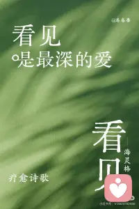 看见是最深的爱配图