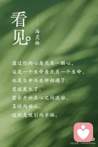 看见是最深的爱配图