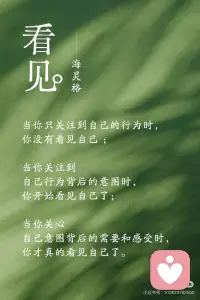 看见是最深的爱配图