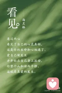 看见是最深的爱配图