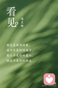 看见是最深的爱配图
