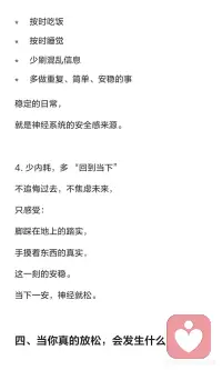 真正的放松
是神经系统重新信任生命配图