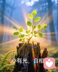 困难只是暂时的考验，不是永远的结局，保持微笑与勇气，奋力前行，时光定会给你最好的答案。配图