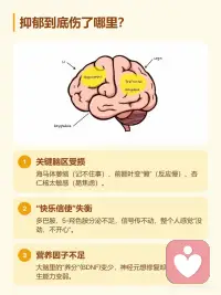 抑郁居然会损伤脑神经？配图