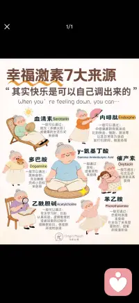 其实快乐是可以自己调出来的配图