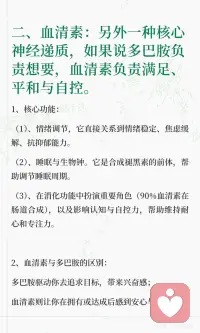 神经递质配图