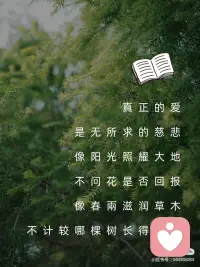 真正的爱
是无所求的慈悲配图