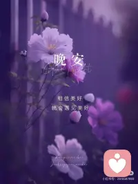 相信美好
就会遇见美好配图