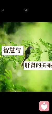 心神安定 生活才会平顺
人才能通透自在配图