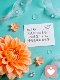 生活是晨起暮落，日子是柴米油盐，平凡中藏着美好，愿你今天也能收获满满的温柔与幸运，早安！🌸配图