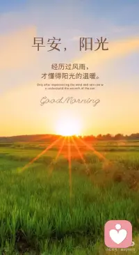 经历过风雨
才懂得阳光的温暖配图