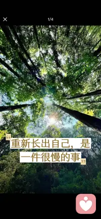 重新长出自己
允许自己 仍在生长配图