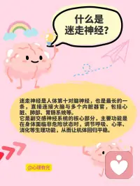 迷走神经：身体里的“情绪调节器”
大多数人了解大脑，却忽略了一条同样关键的神经系统：迷走神经
这条神经，贯穿我们从头到脚的内部系统，是连接大脑与身体的一条关键通道，也是调节情绪、安全感与身体状态的神经枢纽。
迷走神经的位置与功能
迷走神经是人体第十对脑神经，也是最长的一条脑神经。它从大脑延伸，经过颈部、胸腔，进入心脏、肺部，最终到达消化系统。
这条神经的任务不只是“传递信号”，它是副交感神经系统的中枢之一，帮助我们完成以下重要生理调节：
控制心率与血压
调节呼吸节律
促进消化功能
影响免疫反应
与情绪状态密切相关
迷走神经的活跃程度，直接决定了我们在面对环境变化时，是否能恢复平稳状态。
情绪与迷走神经的神经连接
神经科学研究表明，情绪体验并不只发生在大脑中。迷走神经在这个过程中扮演着关键角色。
当身体感受到威胁或压力时，交感神经系统启动，“战斗或逃跑”反应被激活，心跳加速、肌肉紧绷、注意力高度集中。
而迷走神经的工作则恰恰相反——
它在感知到安全信号后，帮助身体回归平衡。呼吸变慢，心率稳定，肌肉放松，大脑重新具备整合信息的能力。
这种由“身体到大脑”的反馈机制，被称为向上调节，它说明身体的状态会直接影响我们的情绪稳定程度。
迷走神经的激活方式
迷走神经的活动状态可以通过训练增强。例如：
深呼吸练习：延长呼气时间有助于增强副交感神经活动
冥想与正念：减少神经系统警觉性，强化内在安全感
唱歌、哼鸣、朗读：声音振动能刺激迷走神经路径
冷水刺激：面部接触冷水可以激发迷走神经反应
建立正向人际连接：亲密、安全的社交互动是迷走神经的天然刺激源
这类练习并非快速解决情绪问题的“捷径”，而是一种长期稳定身体状态、增强心理韧性的训练。
应用场景：从焦虑调节到身心恢复
越来越多的心理学研究和临床实证将迷走神经纳入情绪治疗中。
例如：创伤后应激障碍、慢性焦虑、心率不齐、睡眠障碍，甚至是肠易激综合征等，都与迷走神经功能失衡有关。
理解并调节这条神经，不仅有助于提高情绪弹性，也能在身体层面提供支持。
结语：调节从身体开始
迷走神经提醒我们，安全感不是思考出来的，而是感知出来的。
而这种感知，来自身体是否处于被允许放松的状态。
科学所能带来的最大慰藉之一，是让人明白：
情绪的稳定不是性格强弱的问题，而是一种可以被训练的生理能力。配图