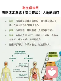 焦虑的人会忘掉呼吸
高敏感+无效呼吸会导致低精力，低精力+高敏感背后一定有无效呼吸，它们三个就像一个三角
 
高敏感者的大脑在处理信息时，前额叶皮层、镜像神经元系统等等与情绪和深度加工信息相关的脑区活动比普通人更加活跃，使得他们对于内在和外在信息的处理和反应程度都更深更持久，
 
高敏感是一个中性的配置。真正起作用的是后天的经历，如果在一个充满压力，否定和创伤的环境中长大，在生存驱力下，神经系统会被迫持续处于战斗或逃跑的应激状态，这种时候深度处理能力可能会发展为过度警惕和灾难化倾向，也就是焦虑，再因此衍生出注意力障碍、拖延症和自我否定和完美主义倾向等等。
 
长期的创伤应激会塑造神经回路，强化大脑中负责恐惧和警觉的杏仁核反应，同时影响前额叶皮层对情绪的有效调节，这种状态会立刻导致呼吸变浅。
 
在焦虑模式下身体的自然反应就是立刻更换为使用快速浅表的胸式呼吸，以便更快的交换氧气、准备战斗或者逃跑。
 
这是一种应激模式下的、短期的生存策略。长期保持浅呼吸模式，会不断使杏仁核得到确认，大脑确认身体处在紧急状态，会进一步加剧焦虑，（就像人们不是因为开心才大笑，而是因为大笑才开心一样）
 
同时浅表呼吸会导致换气过度，减少血液中的二氧化碳浓度，引起头晕，心悸，手脚发麻等等，长期会导致气血不足，肺部无法进行有效的氧气和二氧化碳交换，导致身体获得的氧气变少，又直接导致疲劳，思维迟钝，注意力不集中，无法通过深度睡眠恢复精力
 
这个循环的终点就是低精力的状态。
 
焦虑的人会忘掉呼吸，因为可能焦虑是创伤应激综合的结果，创伤应激有很大的影响，是它会让人失掉主动更新的能力，会忘记觉察自己的呼吸，忘记自己随时都可以放松，忘记自己至少已经安全到可以深呼吸
 
所以理论上讲，走神、难以集中注意力和疲劳状态、气血低、情绪低落和一些体态问题应该都可以通过腹式呼吸来解决的，改善呼吸状态可以直接切断这个恶性循环的链条
 
试试头荐骨疗法（BCST）,它有个名字叫副交感神经疗法，我们身体就像一辆车，交感神经是“油门”，副交感神经是“刹车”，焦虑、紧张等这些是交感神经在工作，抑制了副交感神经，当我们想要放松，恰恰需要回到副交感神经，头荐骨疗法用轻柔非侵入式的方式，让我们的交感神经和副交感神经回到平衡的状态，当我们在副交感的时，自然就放松下来，呼吸自然就去到深度，身体自然就变得和谐配图