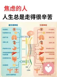 焦虑的人会忘掉呼吸
高敏感+无效呼吸会导致低精力，低精力+高敏感背后一定有无效呼吸，它们三个就像一个三角
 
高敏感者的大脑在处理信息时，前额叶皮层、镜像神经元系统等等与情绪和深度加工信息相关的脑区活动比普通人更加活跃，使得他们对于内在和外在信息的处理和反应程度都更深更持久，
 
高敏感是一个中性的配置。真正起作用的是后天的经历，如果在一个充满压力，否定和创伤的环境中长大，在生存驱力下，神经系统会被迫持续处于战斗或逃跑的应激状态，这种时候深度处理能力可能会发展为过度警惕和灾难化倾向，也就是焦虑，再因此衍生出注意力障碍、拖延症和自我否定和完美主义倾向等等。
 
长期的创伤应激会塑造神经回路，强化大脑中负责恐惧和警觉的杏仁核反应，同时影响前额叶皮层对情绪的有效调节，这种状态会立刻导致呼吸变浅。
 
在焦虑模式下身体的自然反应就是立刻更换为使用快速浅表的胸式呼吸，以便更快的交换氧气、准备战斗或者逃跑。
 
这是一种应激模式下的、短期的生存策略。长期保持浅呼吸模式，会不断使杏仁核得到确认，大脑确认身体处在紧急状态，会进一步加剧焦虑，（就像人们不是因为开心才大笑，而是因为大笑才开心一样）
 
同时浅表呼吸会导致换气过度，减少血液中的二氧化碳浓度，引起头晕，心悸，手脚发麻等等，长期会导致气血不足，肺部无法进行有效的氧气和二氧化碳交换，导致身体获得的氧气变少，又直接导致疲劳，思维迟钝，注意力不集中，无法通过深度睡眠恢复精力
 
这个循环的终点就是低精力的状态。
 
焦虑的人会忘掉呼吸，因为可能焦虑是创伤应激综合的结果，创伤应激有很大的影响，是它会让人失掉主动更新的能力，会忘记觉察自己的呼吸，忘记自己随时都可以放松，忘记自己至少已经安全到可以深呼吸
 
所以理论上讲，走神、难以集中注意力和疲劳状态、气血低、情绪低落和一些体态问题应该都可以通过腹式呼吸来解决的，改善呼吸状态可以直接切断这个恶性循环的链条
 
试试头荐骨疗法（BCST）,它有个名字叫副交感神经疗法，我们身体就像一辆车，交感神经是“油门”，副交感神经是“刹车”，焦虑、紧张等这些是交感神经在工作，抑制了副交感神经，当我们想要放松，恰恰需要回到副交感神经，头荐骨疗法用轻柔非侵入式的方式，让我们的交感神经和副交感神经回到平衡的状态，当我们在副交感的时，自然就放松下来，呼吸自然就去到深度，身体自然就变得和谐配图