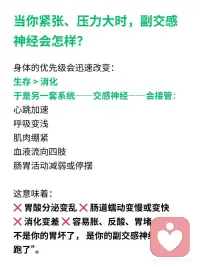 真正控制你肠胃的其实是副交感神经配图
