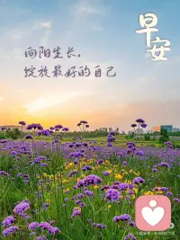 向阳生长
绽放最好的自己配图