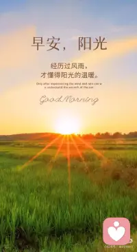 经历过风雨才懂得阳光的温暖配图