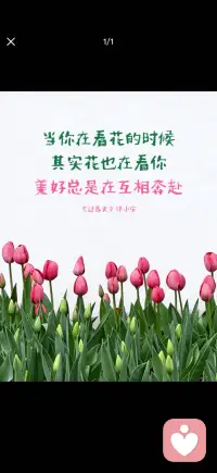 美好总是在互相奔赴配图