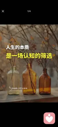 认识的本质是一场认知的筛选配图
