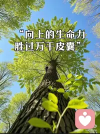 向上的生命力，胜过万千皮囊！
比起美貌，我更想祝你有这股“狠劲儿”
 
💃🏻有人说：“一个人真正的美貌，始于她不再取悦他人的那一刻。” 深以为然！
 
🌿比起“永远年轻漂亮”，我更想祝你永远有向上的生命力。这玩意儿可比皮囊靠谱多了——不是滤镜里的完美五官，也不是体重秤上的数字，是眼里有光、浑身是劲儿的鲜活感。
～～～
 
🍎❶ 生命力是“敢”出来的，不是等出来的
 
那些活得闪闪发光的女生，从不是被年龄困住的人。
30岁敢从零开始学新技能，40岁敢辞掉安稳工作追热爱，50岁敢穿漂亮裙子站上舞台……
她们从不在意“该做什么年纪的事”，只知道“想做就去做”。毕竟走出舒适区不是选择，是成长啊！
 
🍊❷ 生命力是身心都在“up”的状态
 
现在才懂，真正的美是“健康感”。
不是逼自己瘦到骨感，而是周末爬山全程不喘，是加班后能快速调整状态，是好好吃饭、好好睡觉的踏实。
这种由内而外的通透，比任何大牌化妆品都显气质。
 
🍉❸ 生命力是岁月给的底气
 
“美人如玉，砺出光泽”，越沉淀越动人的魅力才是真本事。
 
是60岁依旧挺拔的身姿，是对世界永远好奇的眼神，是历经风雨还能温柔待人的心。
就像杜拉斯说的，比起年轻时的美貌，更爱历经沧桑后的容颜——那是时光给的勋章。
 
✨愿我们都能在岁月里，养出这股不服输的生命力：不慌、不惧、不停。
这才是给自己最好的礼物呀✨配图