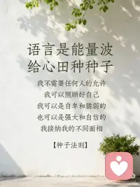 语言能量波配图