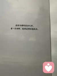 由衷的给予
在对与错的区分之外
有一片田野,我将在那里遇见你配图
