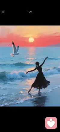 海边女孩和海鸥