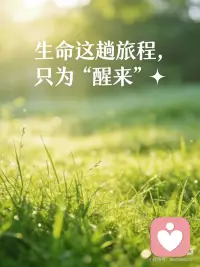 生命这趟旅程，只为“醒来”✨
生命的本质，是从沉睡到醒来的奔赴。
从不是漫无目的的漂泊，而是清晰的旅程——起点是“沉睡”，终点是“醒来”。我们带着懵懂降世，在人间烟火里跌撞、成长，所有经历都是铺垫，只为某一刻挣脱迷茫，看清自己、读懂生活。
⏳ 醒来，从没有“迟到”的说法
每个人的“醒来”，都有专属时区。
有人二十岁豁然开朗，有人四十岁幡然醒悟，有人用一辈子慢慢参透，也有人在轮回里反复打磨才得以明了。不必焦虑别人的节奏，你的“适当”，自会在恰好的时刻到来。
🌱 生命会用最真诚的方式，推着你醒来
它从不放弃任何一个人。
温柔的爱能引你见光，便赠你暖意；爱不足以唤醒，便借痛苦让你停步；小痛仍未清醒，便用失去教会你珍惜。直到你真正睁眼，看见生命本真的模样。
🔮 生命的终极目的，从来只有一个
在无限时光里，用相遇与别离、得到与失去为你引路；在无尽轮回中，用一次次体验敲开觉醒的门。
所有发生都不是偶然，只为某一刻让你懂得——生命的全部意义，就是为了“醒来”。
