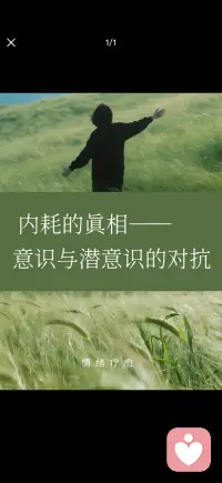 意识和潜意识的对抗
—内耗的真相配图