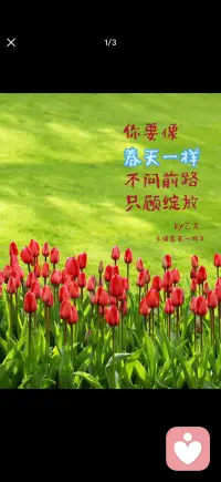 绽放生命配图