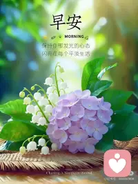 清晨有风，枝头有花，心中有暖。
新的一天，不慌不忙，向阳而行，
愿所有温柔与美好，都与你不期而遇。配图
