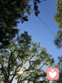 拥抱阳光配图